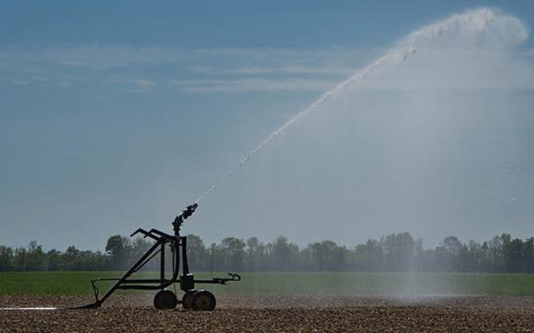 Nagy István: ingyen biztosítja a kormány a gazdáknak az öntözővizet